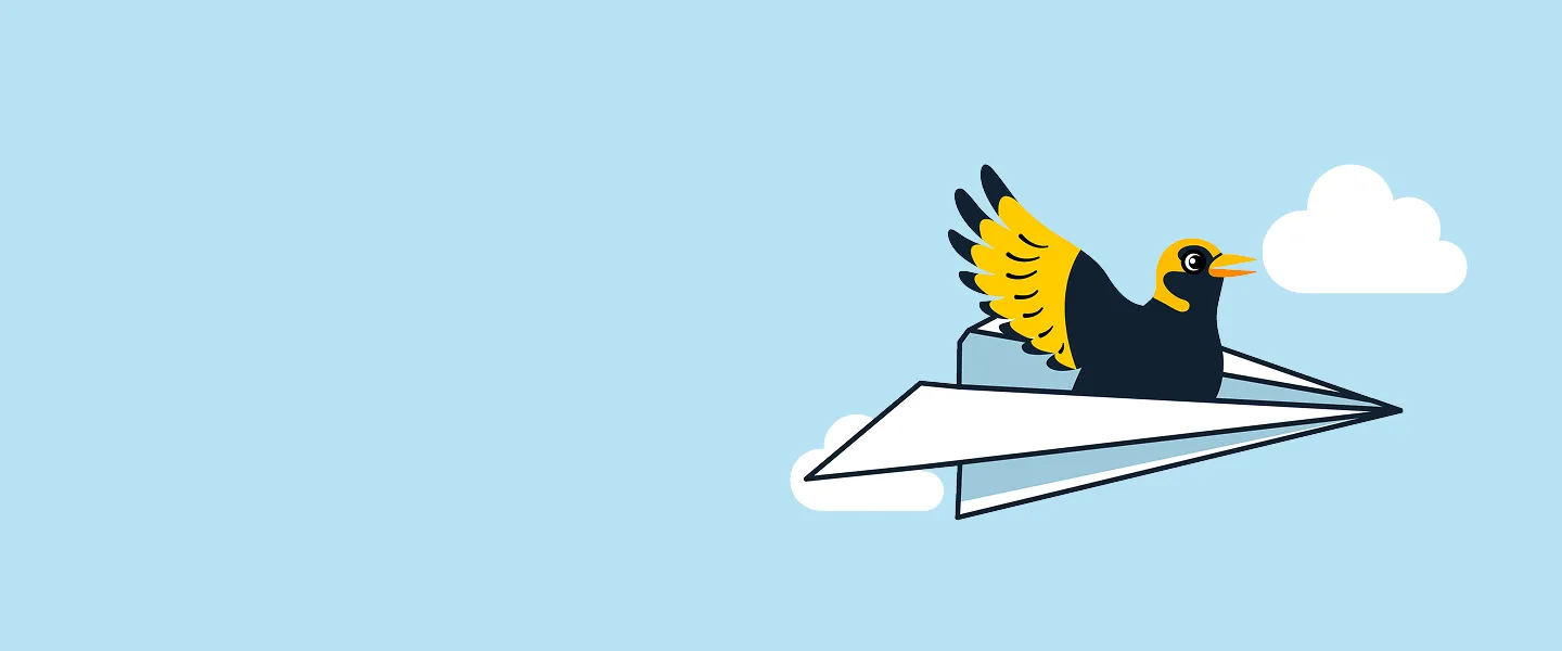 Illustration of a bowerbird flying in a paper aeroplane